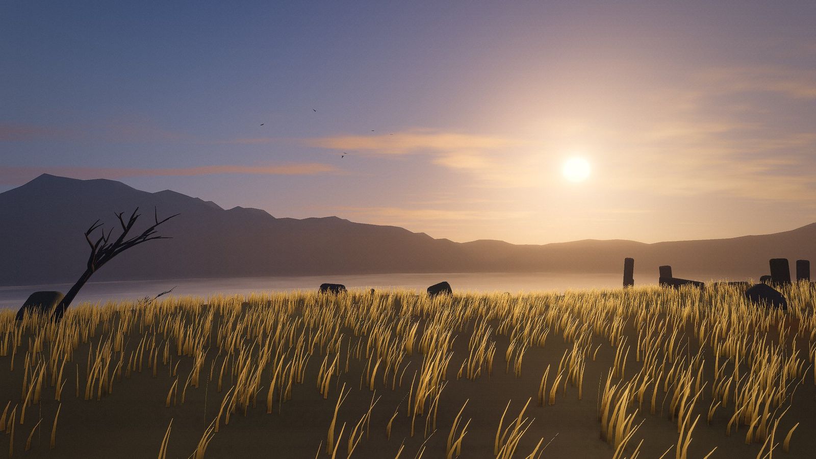 The sun rising over the moor